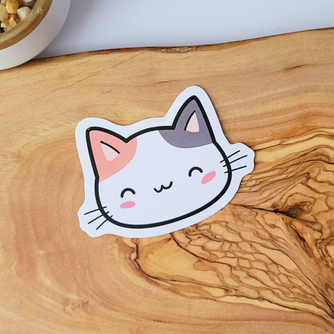 A white cat face, with a tan and gray ear.