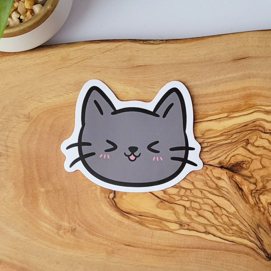 a large gray cat face that is happily laughing